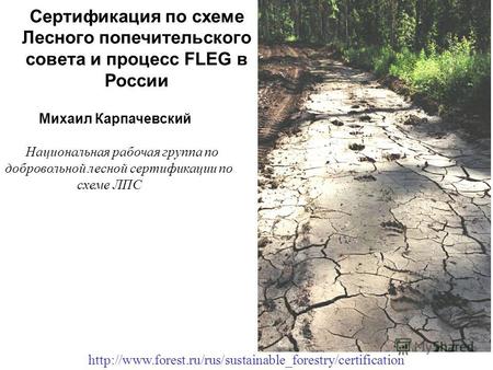 Сертификация по схеме Лесного попечительского совета и процесс FLEG в России Михаил Карпачевский.