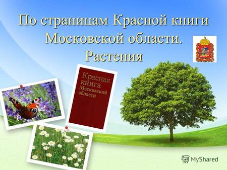 По страницам Красной книги Московской области. Растения.