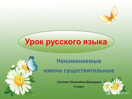 Урок русского языка Неизменяемые имена существительные Система Эльконина-Давыдова 4 класс.