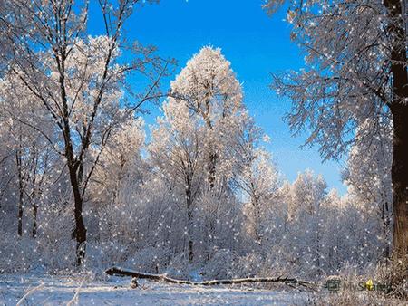 Описание природы. Зима. И оживают картины природы…