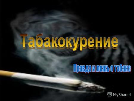 Табак – наркотик, представитель дикой флоры, известный с древности. В Россию его привезли англ. купцы в 1585 г.В Россию его привезли англ. купцы в 1585.