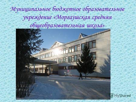 Муниципальное бюджетное образовательное учреждение «Моргаушская средняя общеобразовательная школа»