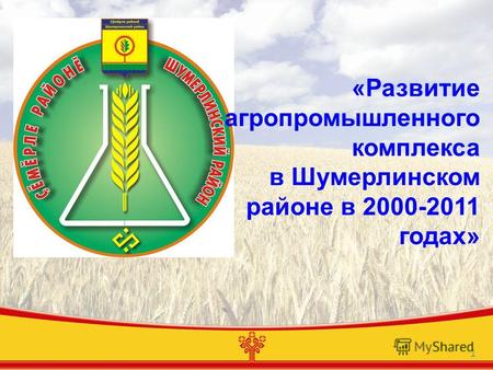 1 «Развитие агропромышленного комплекса в Шумерлинском районе в 2000-2011 годах»