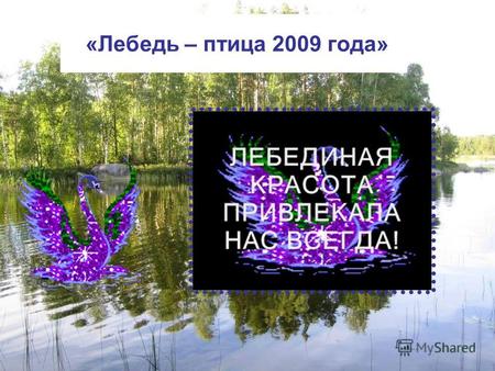 «Лебедь – птица 2009 года». Издательство: Бао-ПрессБао-Пресс Серия: Русские народные сказкиРусские народные сказки Жанр: Русские народные сказкиРусские.