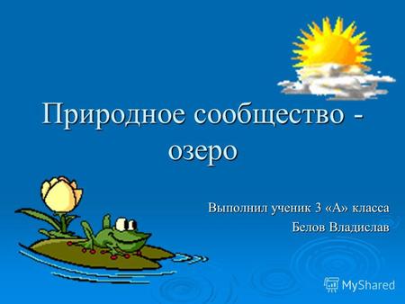 Природное сообщество - озеро Выполнил ученик 3 «А» класса Белов Владислав.