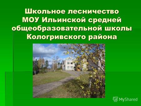 Школьное лесничество МОУ Ильинской средней общеобразовательной школы Кологривского района.
