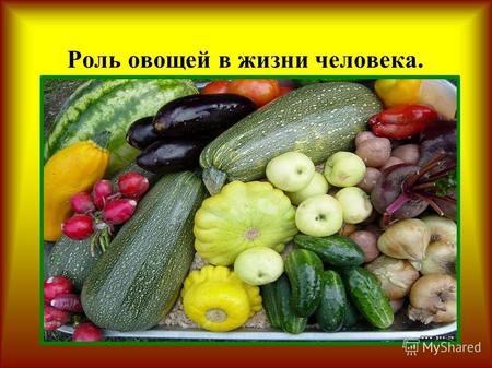 Роль овощей в жизни человека.. Значение овощей: Содержат витамины, углеводы, минеральные вещества. Способствуют перевариванию и усвоению пищи. Возбуждают.
