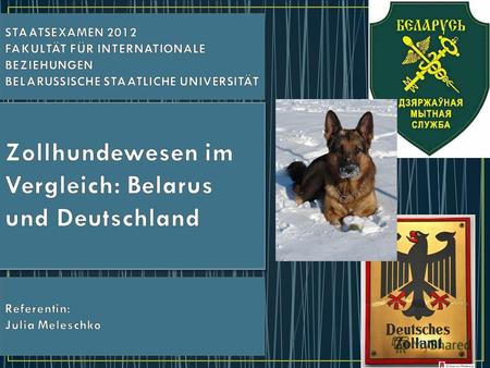 1)Struktur des Zollhundewesens in der Republik Belarus und in Deutschland 2)Ausbildung der Diensthunde und ihrer Führer in Belarus und in Deutschland.