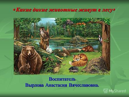 « Какие дикие животные живут в лесу» Воспитатель Вырлова Анастасия Вячеславовна.