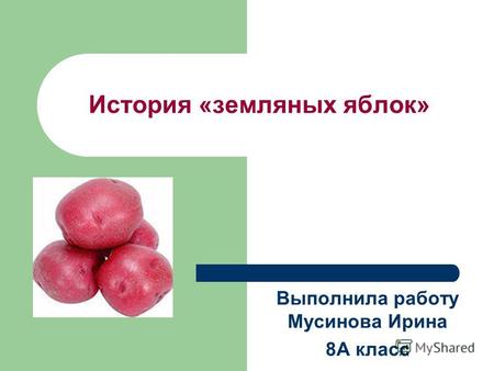 История «земляных яблок» Выполнила работу Мусинова Ирина 8А класс.