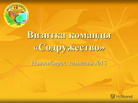 Визитка команды «Содружество» Новосибирск, гимназия 15.