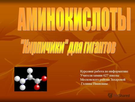 Курсовая работа по информатике Учителя химии 627 школы Московского района Захаровой Галины Ивановны.