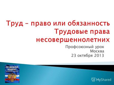 Профсоюзный урок Москва 23 октября 2013. Гражданское общество – это сфера самопроявления свободных граждан и добровольно сформировавшихся ассоциаций и.