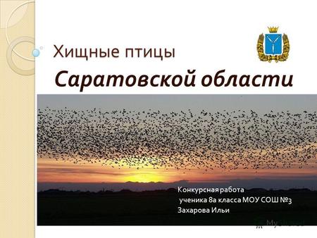 Хищные птицы Саратовской области Конкурсная работа ученика 8 а класса МОУ СОШ 3 Захарова Ильи.