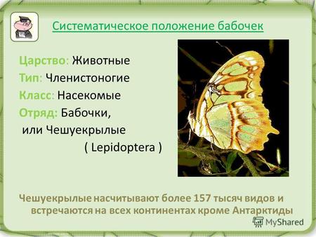 Систематическое положение бабочек Царство: Животные Тип: Членистоногие Класс: Насекомые Отряд: Бабочки, или Чешуекрылые ( Lepidoptera ) Чешуекрылые насчитывают.