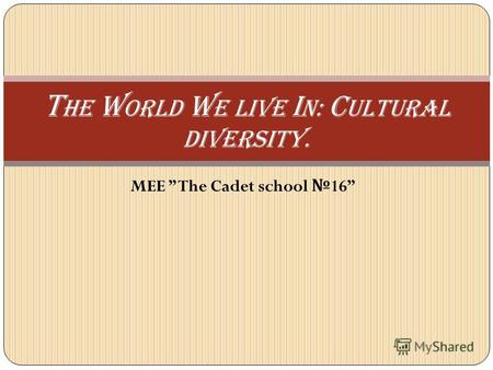 MEE The Cadet school 16 T he w orld w e Live i n: c ultural Diversity.