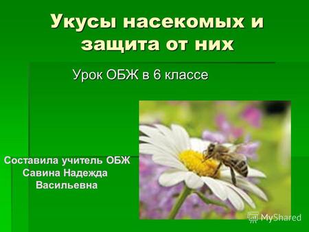 Укусы насекомых и защита от них Урок ОБЖ в 6 классе Составила учитель ОБЖ Савина Надежда Васильевна.