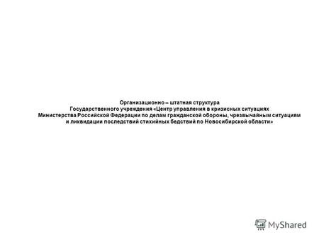 Организационно – штатная структура Государственного учреждения «Центр управления в кризисных ситуациях Министерства Российской Федерации по делам гражданской.
