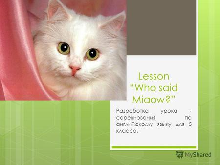 Lesson Who said Miaow? Разработка урока - соревнования по английскому языку для 5 класса.