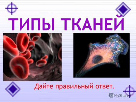 Дайте правильный ответ.. IV. Нервная ткань IV. Нервная ткань I. Эпителиальная ткань Эпителиальная II. Мышечная ткань Мышечная III. Соединительная ткань.