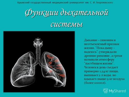 Функции дыхательной системы Дыхание - синоним и неотъемлемый признак жизни. Пока дышу - надеюсь, утверждали древние римляне, а греки называли атмосферу.