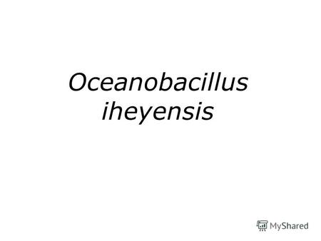 Oceanobacillus iheyensis. Oceanobacillus iheyensis HTE831??-12,912 bp.