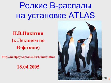Редкие B-распады на установке ATLAS Н.В.Никитин (к Лекциям по B-физике)  18.04.2005 1.