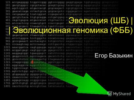 Эволюция (ШБ) | | Эволюционная геномика (ФББ) Егор Базыкин.