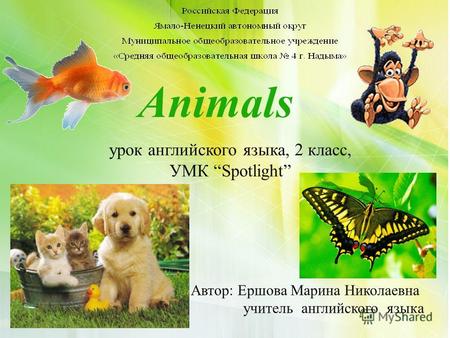Animals Автор: Ершова Марина Николаевна учитель английского языка урок английского языка, 2 класс, УМК Spotlight.