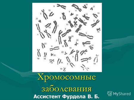 Хромосомные заболевания Ассистент Фурдела В. Б.. Группы хромосом Группа А (1-3 пары) – большие с приблизительно медианным положением центромер Группа.