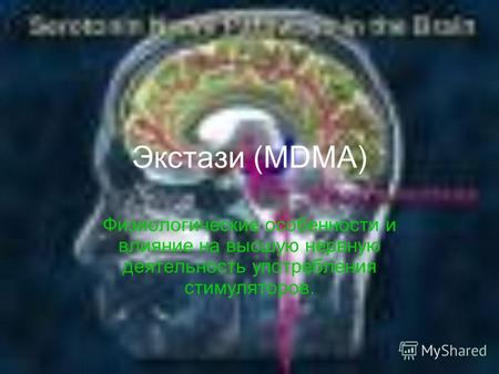 Экстази (MDMA) Физиологические особенности и влияние на высшую нервную деятельность употребления стимуляторов.