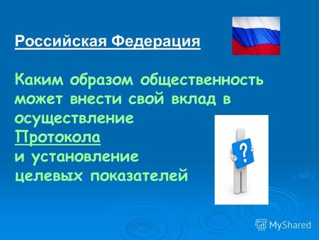 Российская Федерация Каким образом общественность может внести свой вклад в осуществление Протокола и установление целевых показателей.