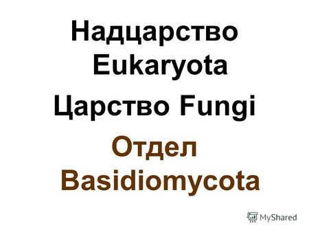 Надцарство Eukaryota Царство Fungi Отдел Basidiomycota.
