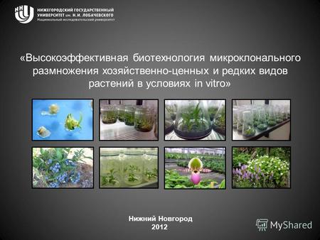 «Высокоэффективная биотехнология микроклонального размножения хозяйственно-ценных и редких видов растений в условиях in vitro» Нижний Новгород 2012.