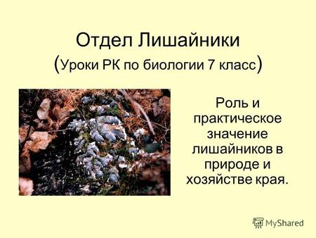 Отдел Лишайники ( Уроки РК по биологии 7 класс ) Роль и практическое значение лишайников в природе и хозяйстве края.