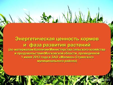 Энергетическая ценность кормов и фаза развития растений (по материалам Коллегии Министерства сельского хозяйства и продовольствия Московской области, проведенной.