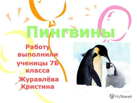 Пингвины Работу выполнили ученицы 7Б класса Журавлёва Кристина Журавлёва Кристина.