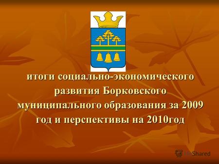 Итоги социально-экономического развития Борковского муниципального образования за 2009 год и перспективы на 2010год.