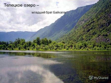 Телецкое озеро – младший брат Байкала. Телецкое озеро - самое большое озеро Алтая и одно из крупнейших озер России. Максимальная глубина озера составляет.