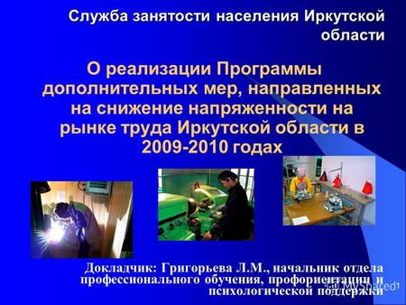1 Служба занятости населения Иркутской области О реализации Программы дополнительных мер, направленных на снижение напряженности на рынке труда Иркутской.