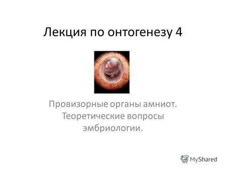 Лекция по онтогенезу 4 Провизорные органы амниот. Теоретические вопросы эмбриологии.
