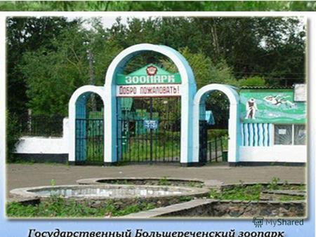 Большереченский зоопарк – единственный в России сельский зоопарк. Площадь его 9 гектаров и располагается он в Омской области, в живописной пойме речки.