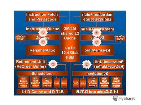 Core 2 Duo Двухъядерная 64-битная архитектура –За основу ядра взято ядро Pentium Pro Широкое динамическое исполнение Разделяемый КЭШ 2го уровня Поддержка.