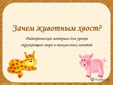 FokinaLida.75@mail.ru Зачем животным хвост? Дидактический материал для уроков окружающего мира и внеклассных занятий.