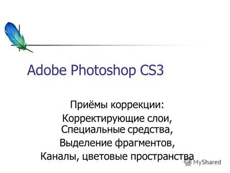 Adobe Photoshop CS3 Приёмы коррекции: Корректирующие слои, Специальные средства, Выделение фрагментов, Каналы, цветовые пространства.