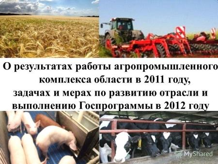 О результатах работы агропромышленного комплекса области в 2011 году, задачах и мерах по развитию отрасли и выполнению Госпрограммы в 2012 году.