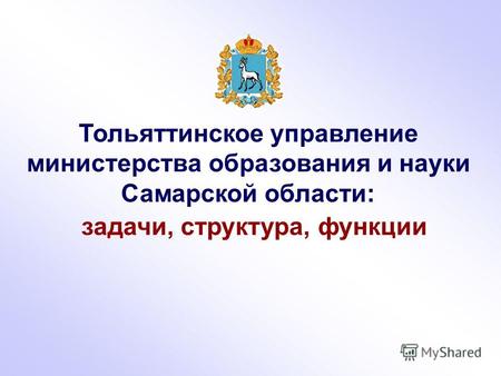 Тольяттинское управление министерства образования и науки Самарской области: задачи, структура, функции.