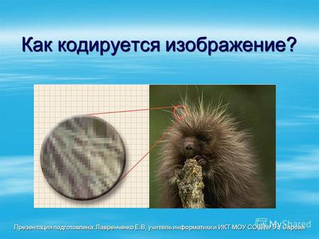 Как кодируется изображение? Презентация подготовлена: Лавренченко Е.В, учитель информатики и ИКТ МОУ СОШ 5 г. Сарова.
