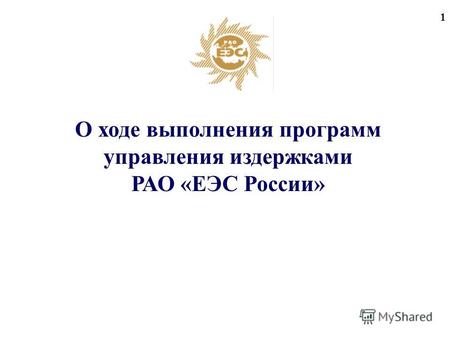 1 О ходе выполнения программ управления издержками РАО «ЕЭС России»