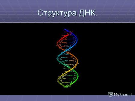 Структура ДНК.. Структура ДНК впервые была предложена Watson и Crick в 1953 на основе результатов РСА низкого разрешения. Основные свойства. 1. Две антипараллельные.
